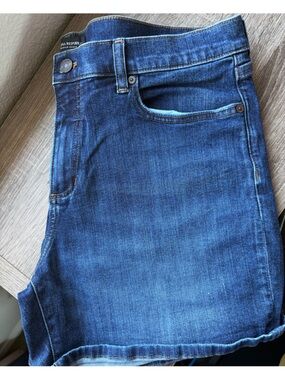 Banana Republic Dark Blue Shorts; NWOT